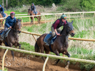 EL160424-29 - Emma Lavelle stable visit